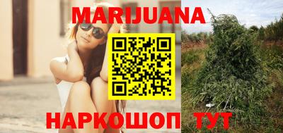 индика Бузулук